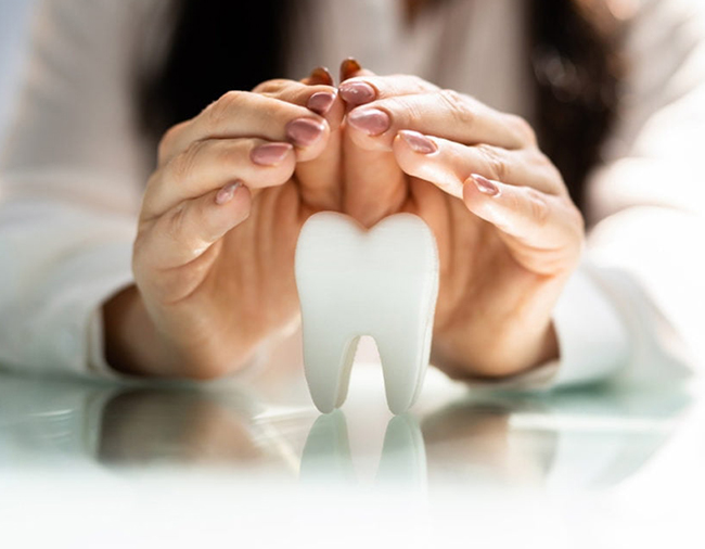Hands protectively cupping a tooth model on white surface, symbolizing dental care and protection.